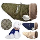 Fleece winter dog jacket for small breeds with fur collar and leash D-ring providing warmth, wind protection, and comfort during cold weather walks