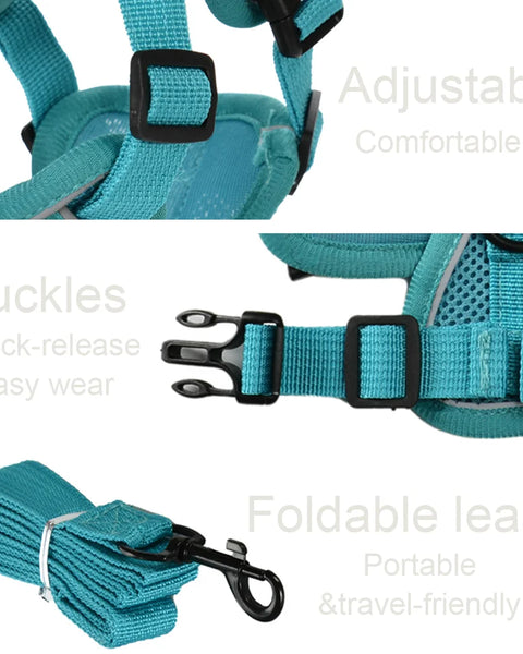 Dog Harness and Leash Set