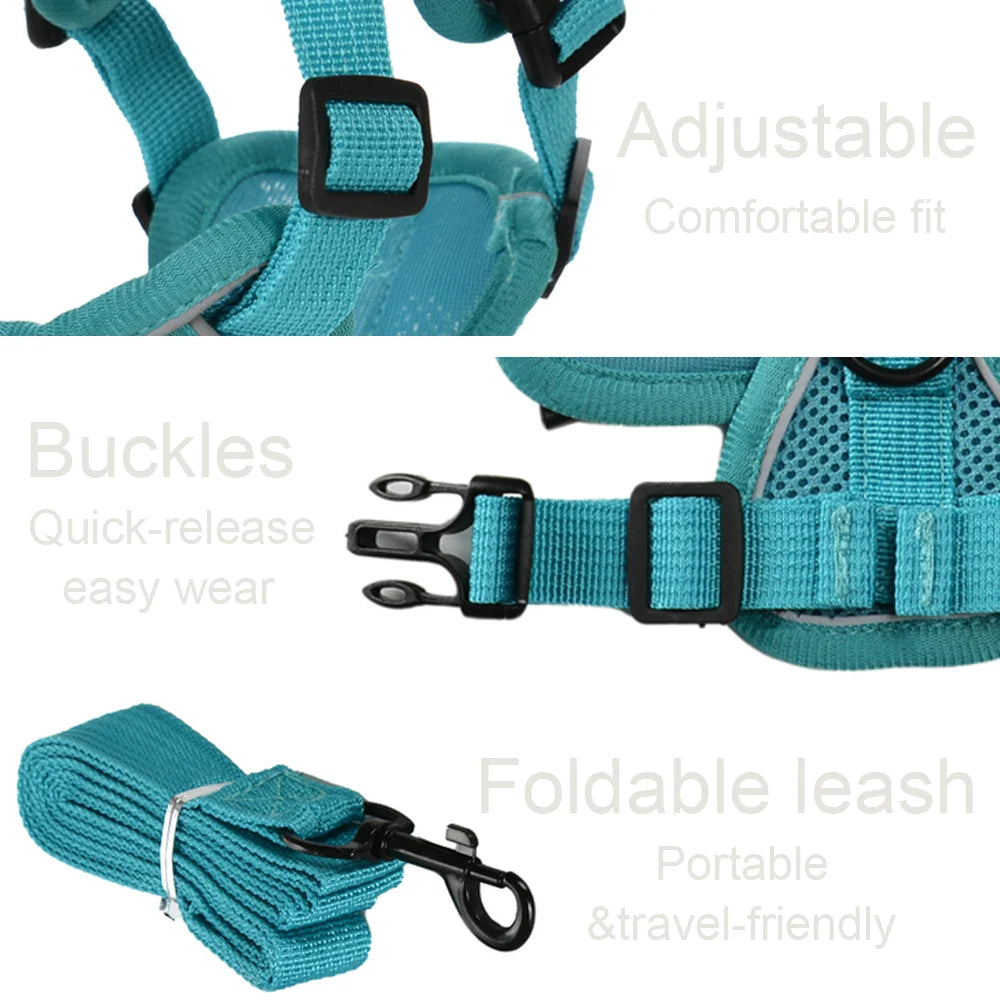 Dog Harness and Leash Set