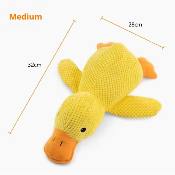 QuackPaws Adventure