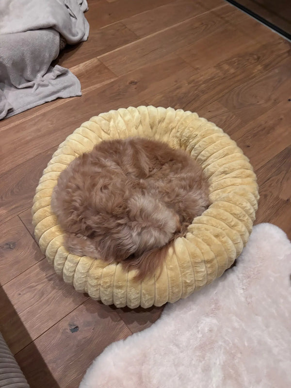 DreamPuff Bed