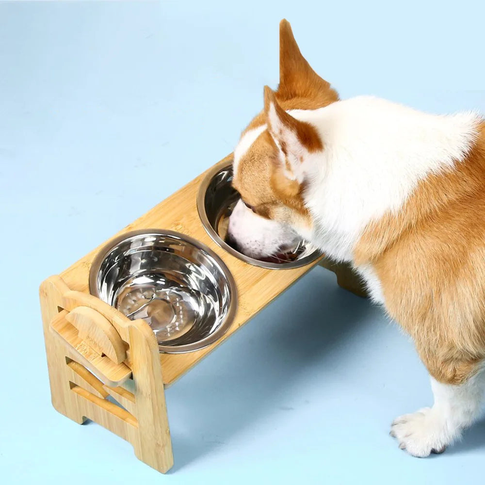 Altivio – Adjustable Elevated Pet Bowl