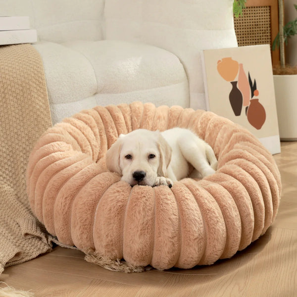 DreamPuff Bed