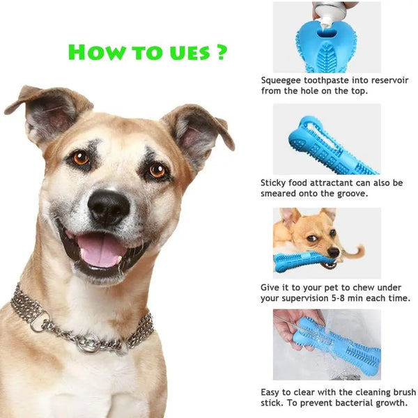 Denticlean – Healthy teeth, playful fun!