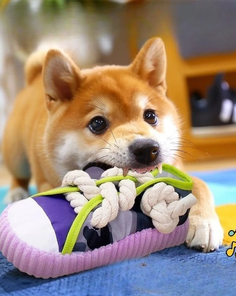 Squeaky Dog Toy Pro