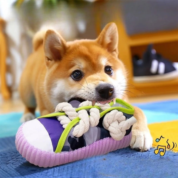 Squeaky Dog Toy Pro