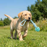 Cotton rope dog toy for dogs that supports chewing, dental cleaning, and interactive tug-of-war play.