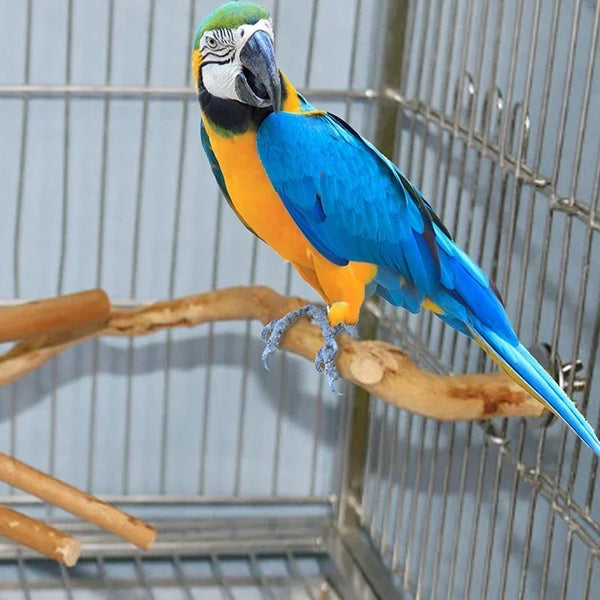 nestwood-vine-perch