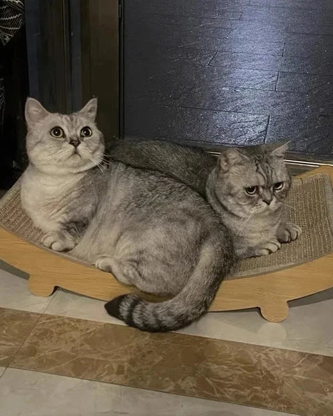 ScratchyNest Pad