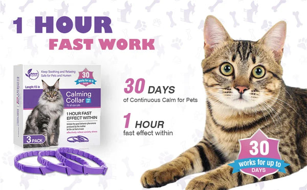 LumeCalm Collar