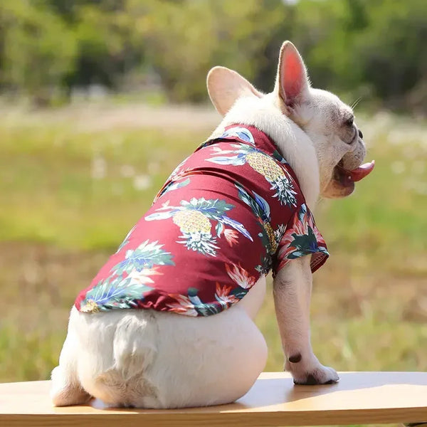 AlohaPaw Hawaiian Shirt