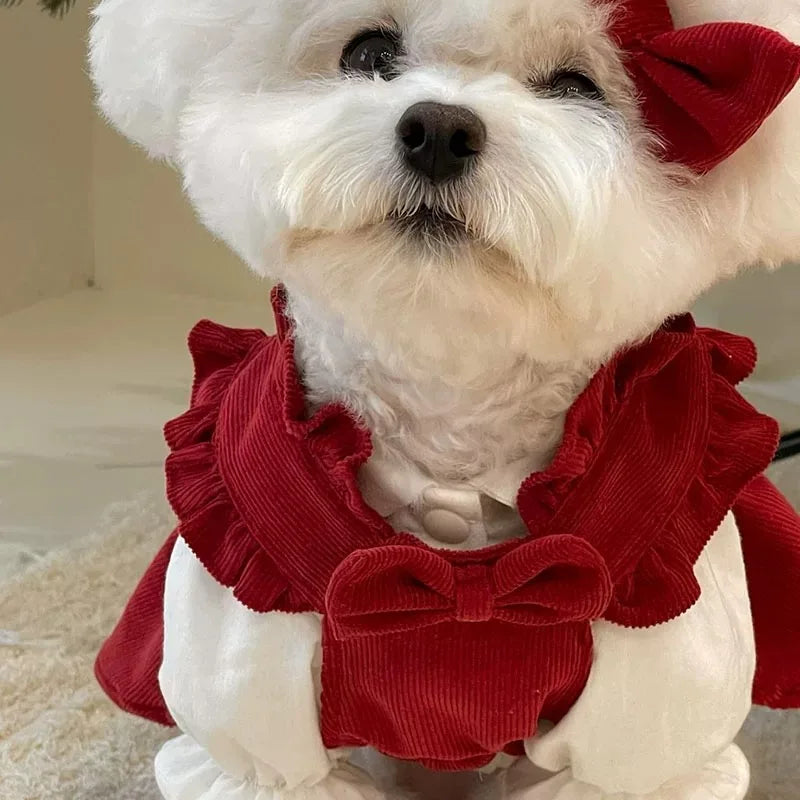 Winter Princess Dog Dress