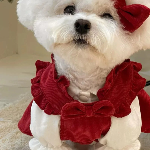 Winter Princess Dog Dress