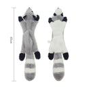  Raccoon