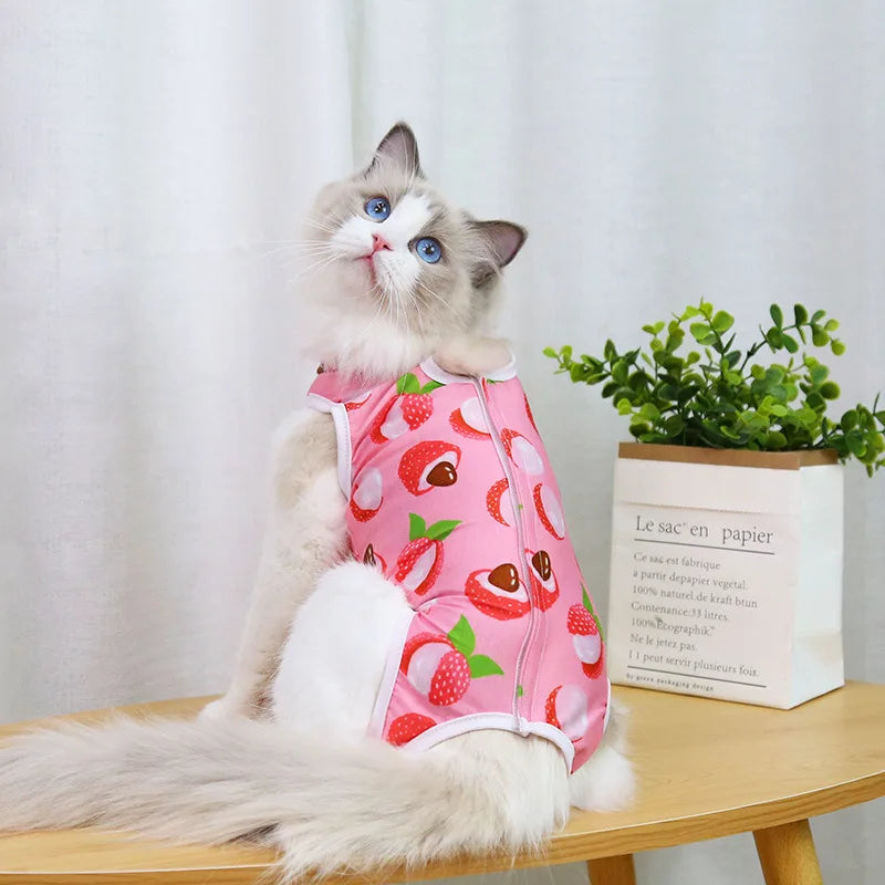PetRecovery Anti-Licking Suit