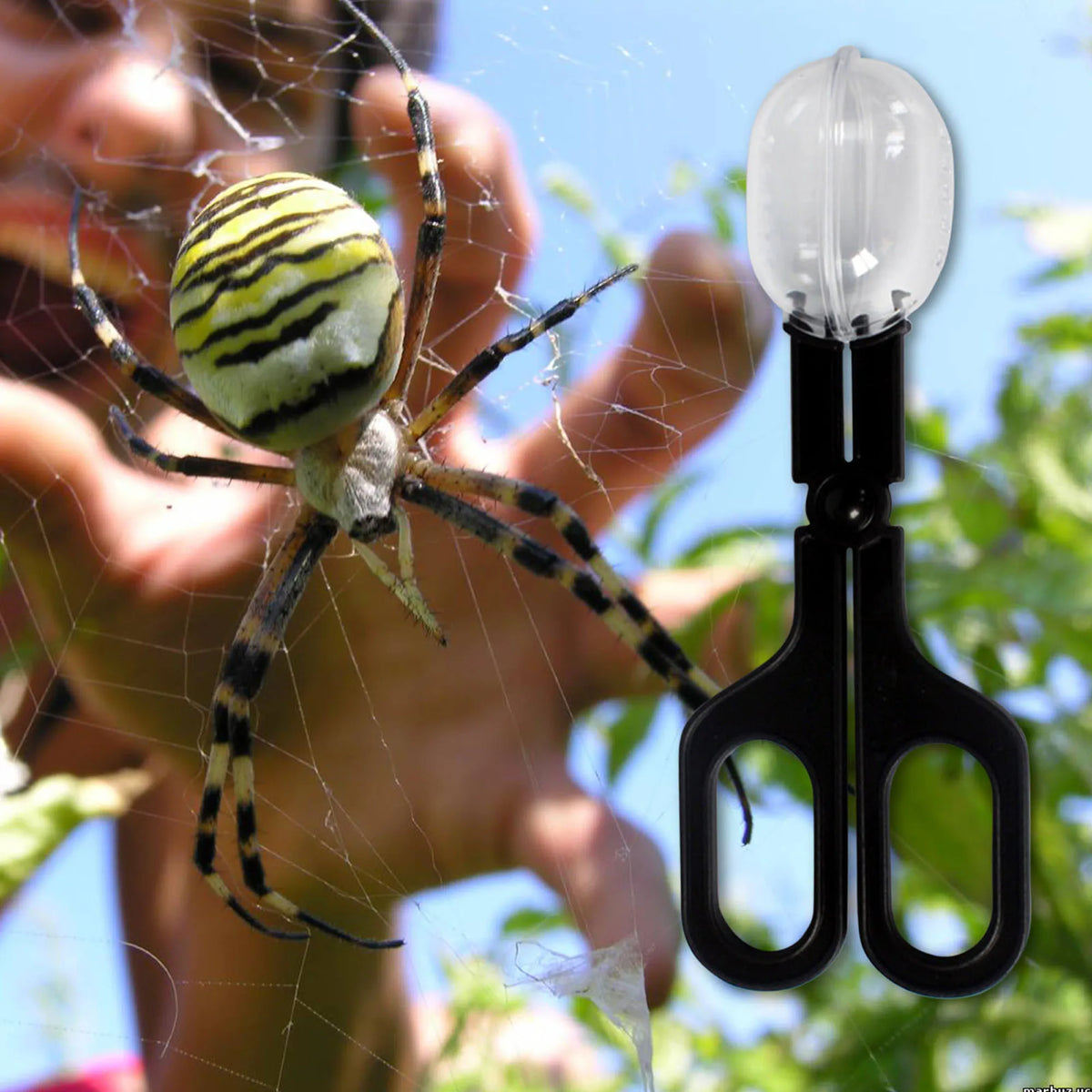 Insectraxx™ Reptile Terrarium
