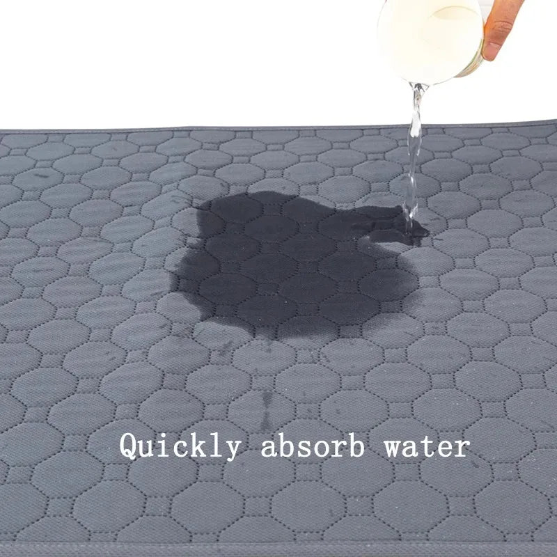 Absorpaw Shield