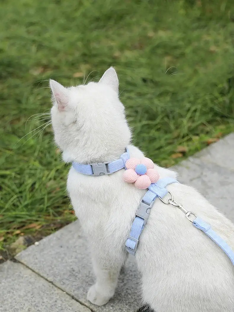 WhiskerStride