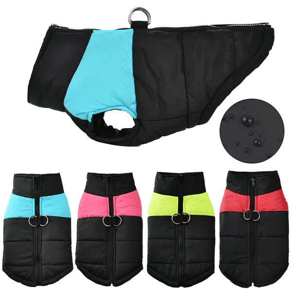 Thermova Dog Winter