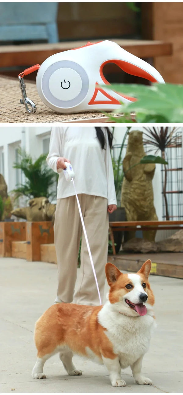 LumiTrail FlexiLeash