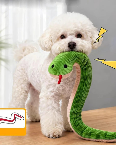 Interactive Snake Toy for Dogs & Cats for Chasing, Kicking, Exercise, Mental Stimulation, Active Play and Daily Pet Enrichment