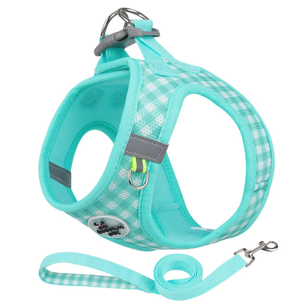 Dog Harness and Leash Set