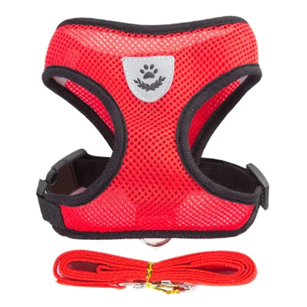 Veltra – Adjustable Pet Harness with Leash
