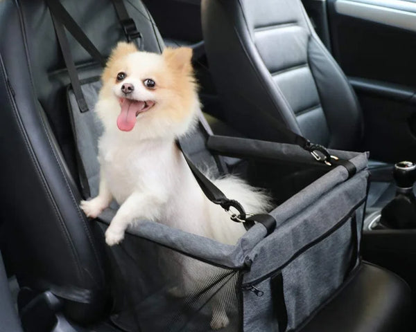 Foldable dog car seat hammock for dogs and cats that protects vehicle seats and provides safe travel comfort during trips.