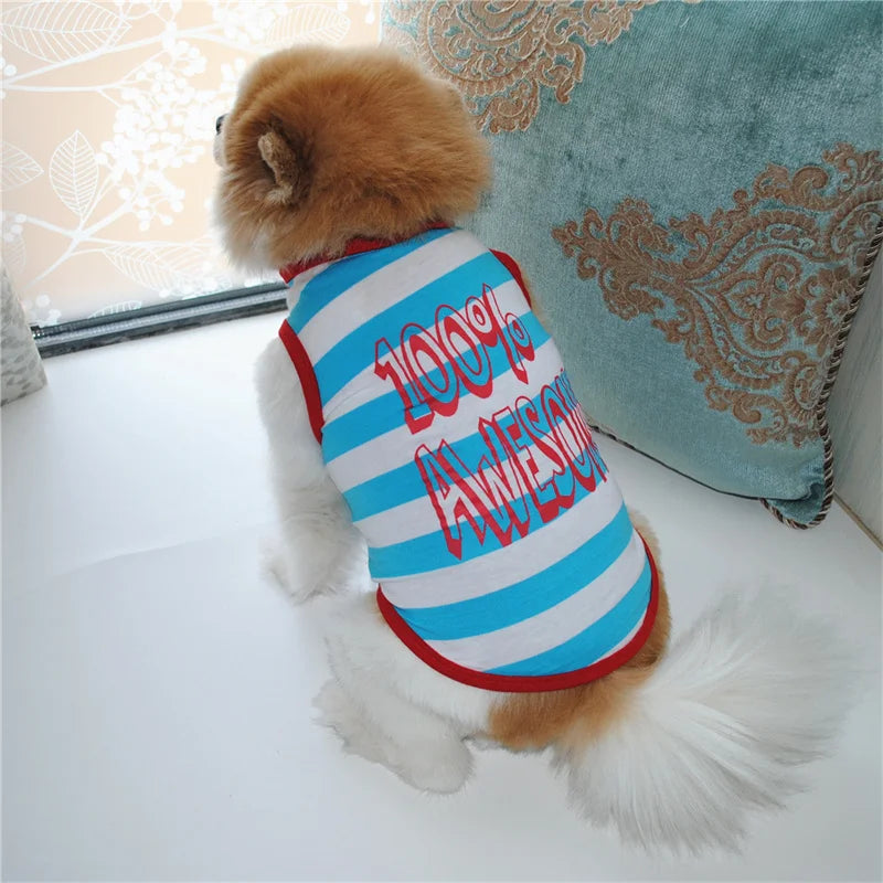 Airy Paws Apparel