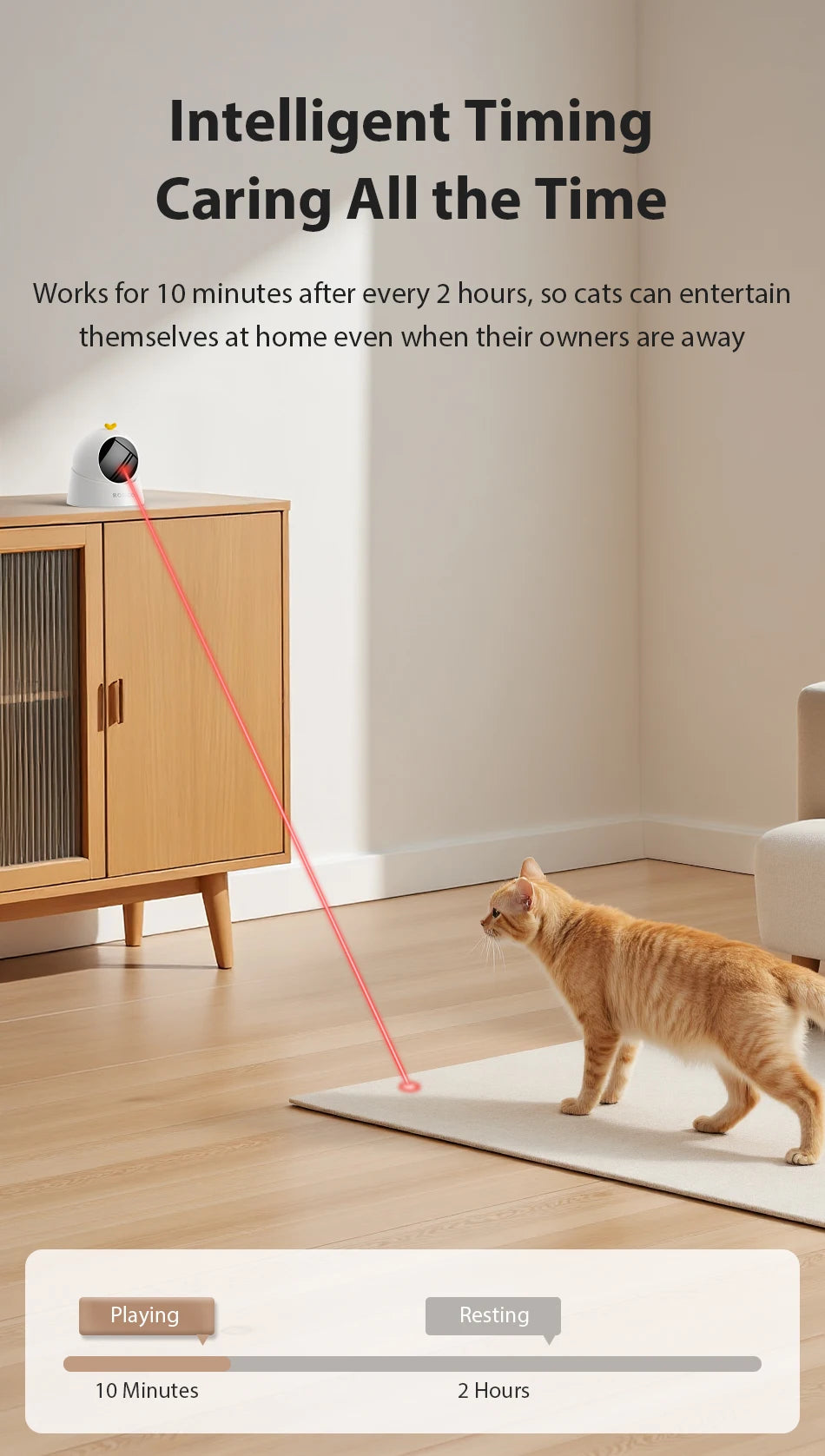 LaserMotion Pet
