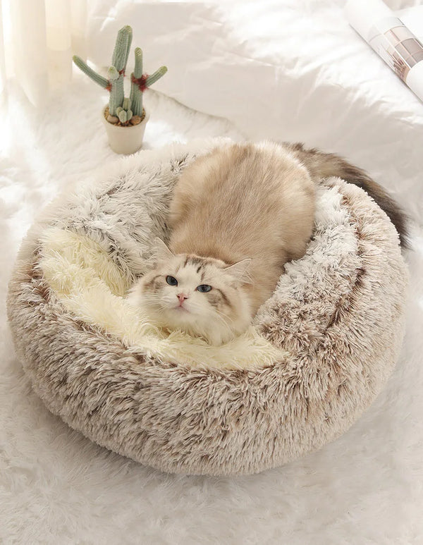Winter Bed – Premium Model