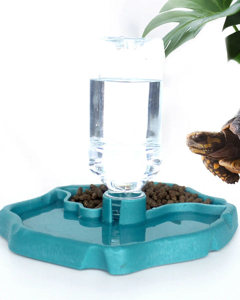 LizardLuxe Tray