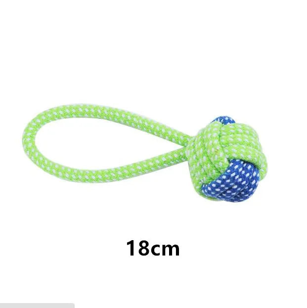 RopePlay Dental Dog