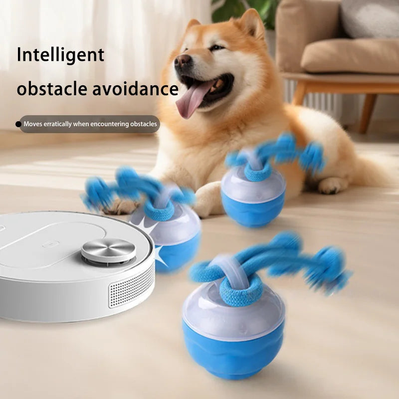 Rovix MotionRope - Upgraded Version