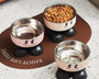 Elevated stainless steel pet feeder for cats and dogs with raised design for improved posture and reduced neck strain during eating