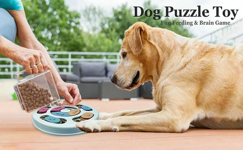 Treat Detective Game