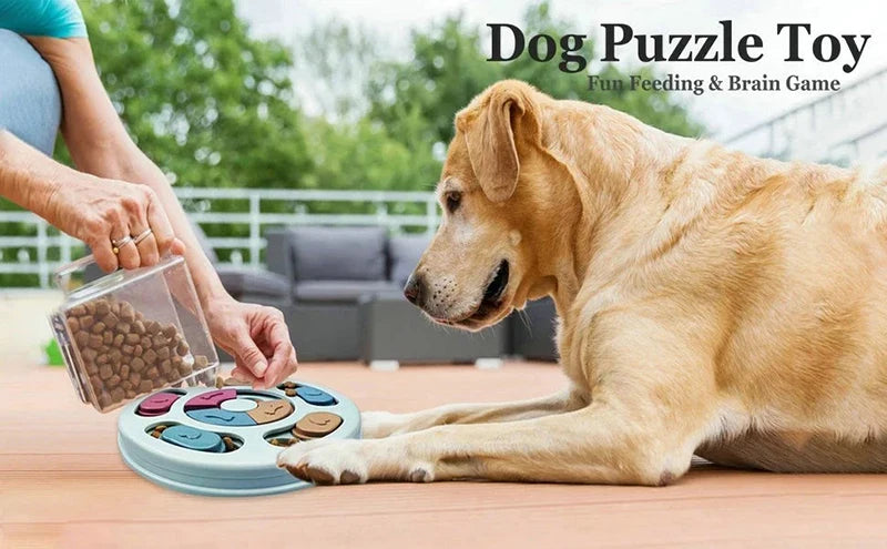 Treat Detective Game