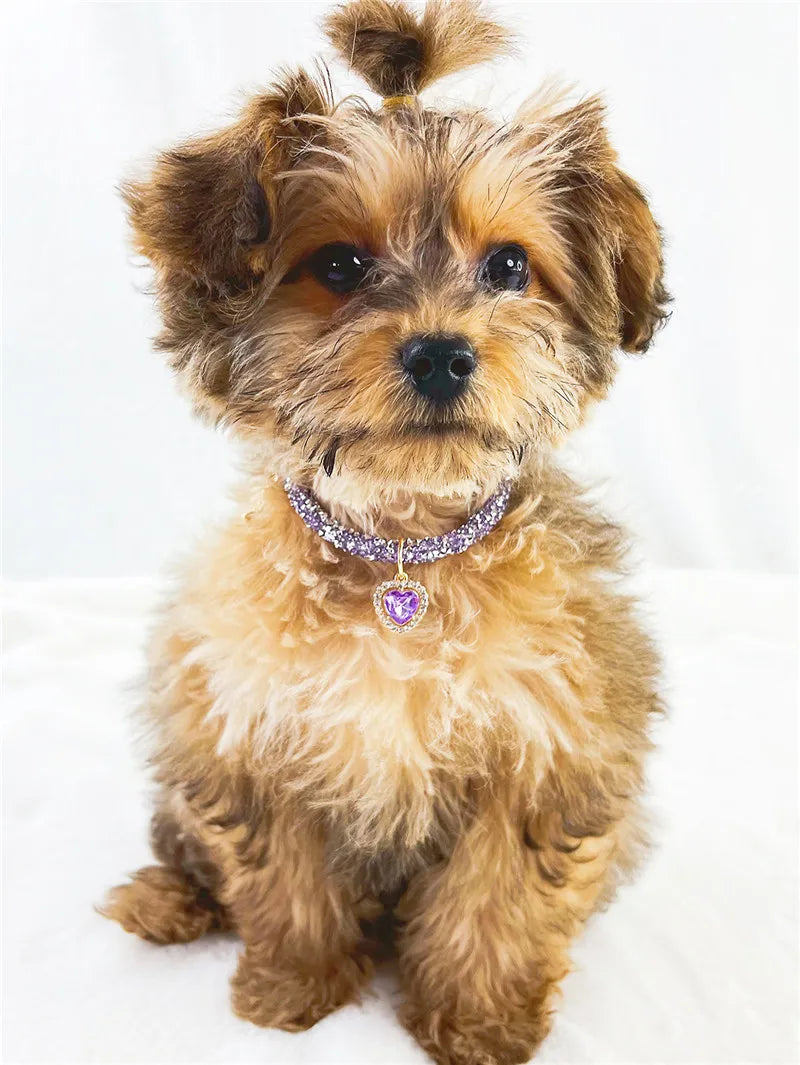 Aurora Heart Collar