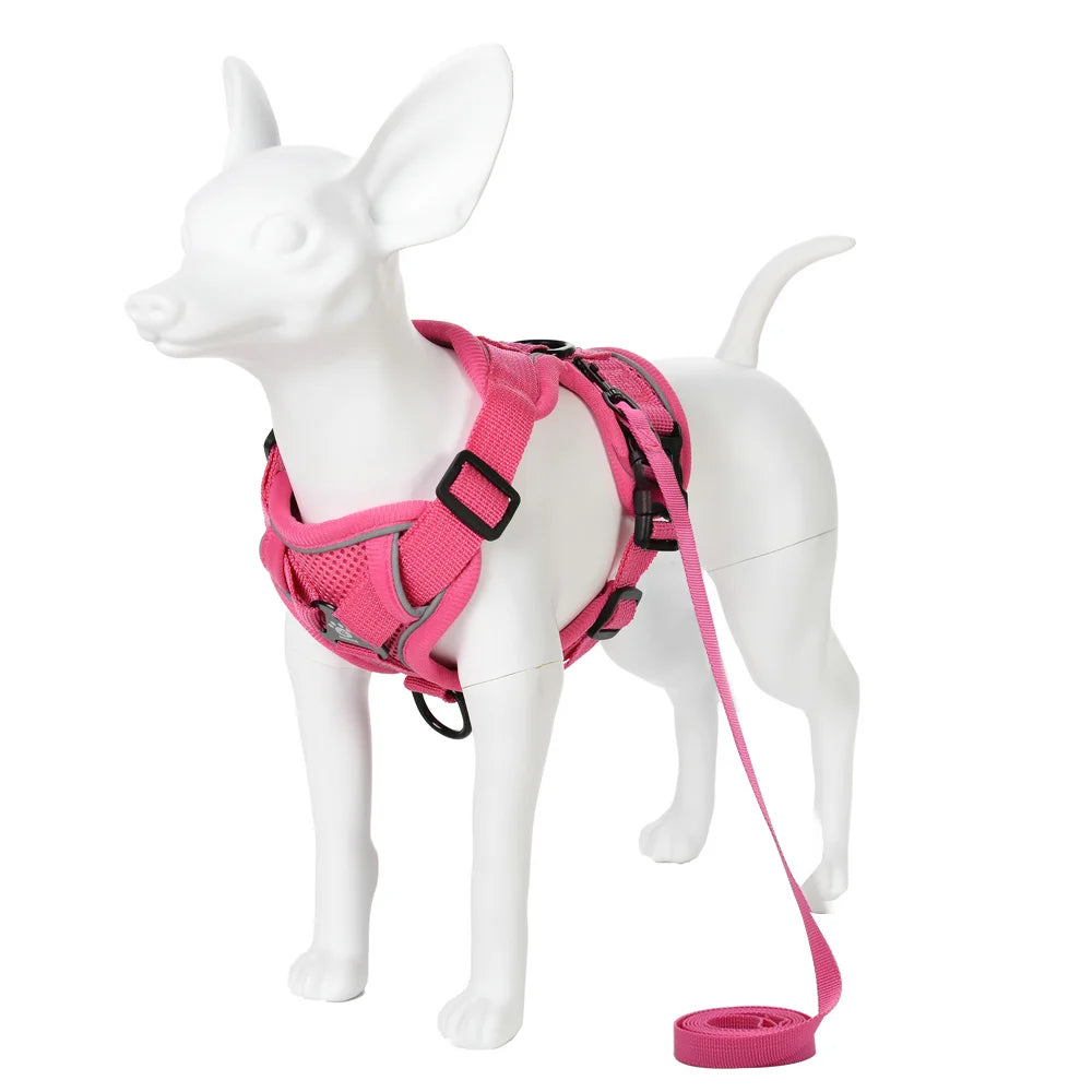 Dog Harness and Leash Set