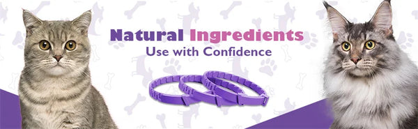 LumeCalm Collar