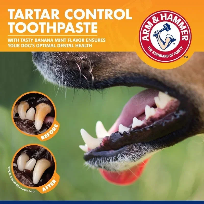 FreshBite Dental Kit