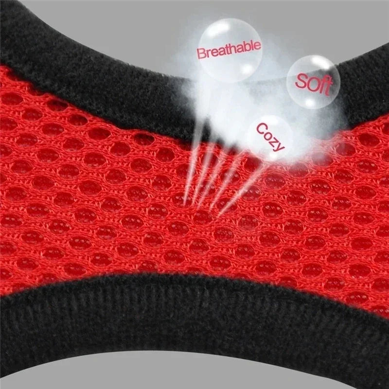 Veltra – Adjustable Pet Harness with Leash