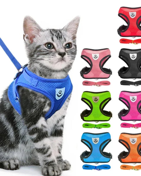 Breathable adjustable mesh pet harness with leash for small to medium dogs and cats, featuring reflective safety strips and comfortable chest support for walking control