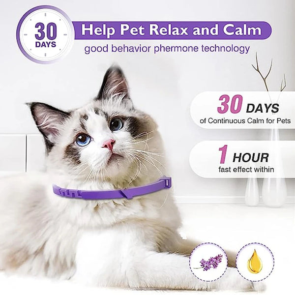 LumeCalm Collar