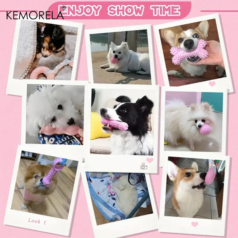 FunMolar Dog Toy Set