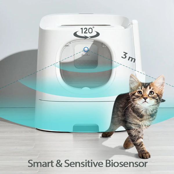 Odor Purifier