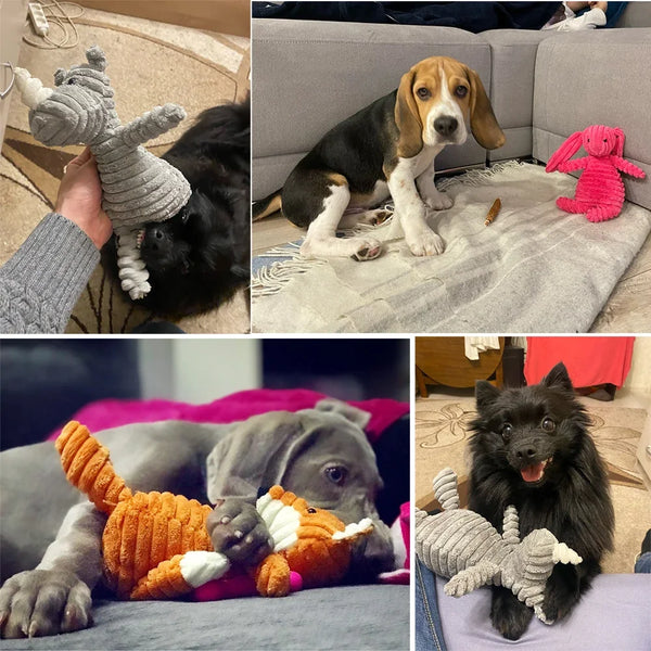 PetJoy Plush Dog Toy