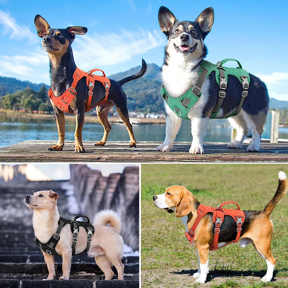 Reflective Dog Harness
