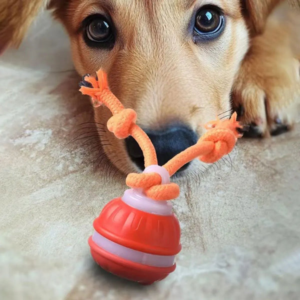 PawVortex