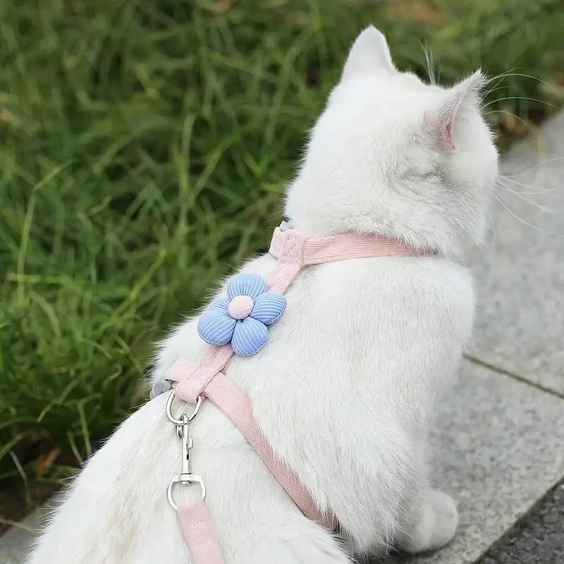 WhiskerStride